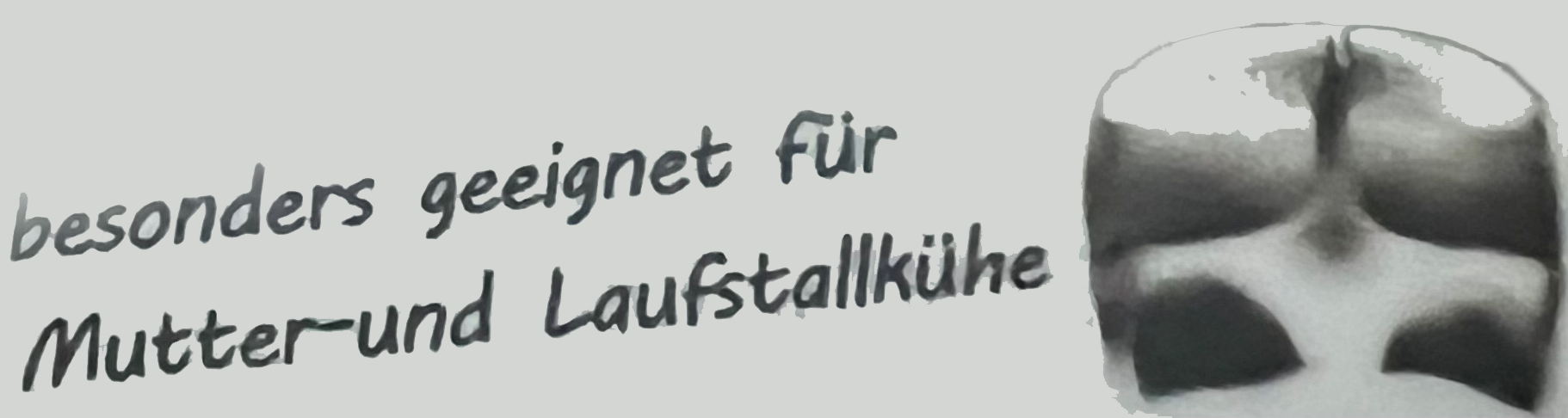 Logo Klauenpflege Andreas Wyss